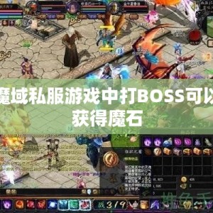 魔域私服游戏中打BOSS可以获得魔石