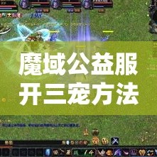 魔域公益服开三宠方法