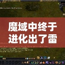 魔域发布网玩家怎么组合避免职业的弊端