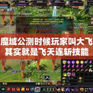 魔域公测时候玩家叫大飞其实就是飞天连斩技能