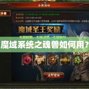 魔域系统之魂兽如何用？