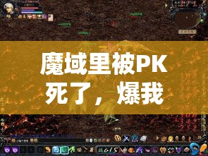 魔域里被PK死了，爆我好多灵魂