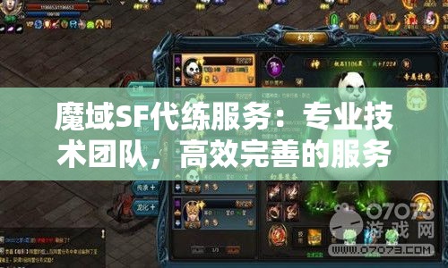 魔域SF代练服务：专业技术团队，高效完善的服务体验！