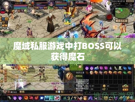 魔域私服游戏中打BOSS可以获得魔石