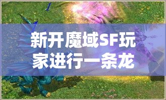 新开魔域SF玩家进行一条龙该准备哪些装备呢？